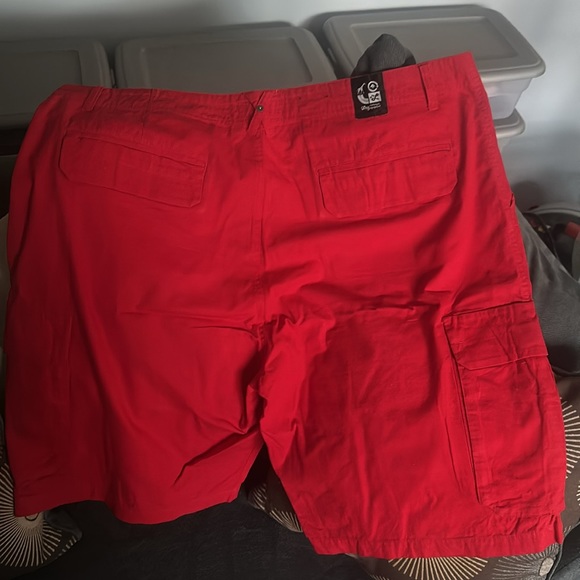 Leg - Picture 2 of 2